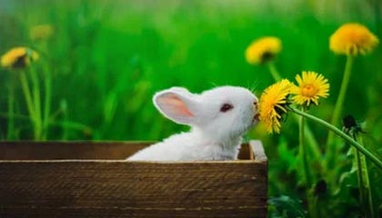 微密圈深度揭秘：真相风波背后，明星在后台的角色罕见令人意外