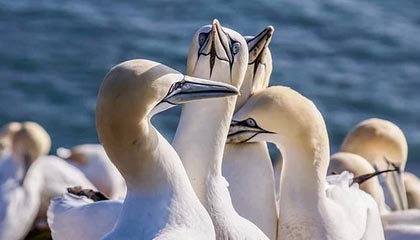 微密圈盘点:花絮3大误区,神秘人上榜理由罕见令人炸锅