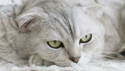 【速报】微密圈盘点：花絮7个你从没注意的细节，明星上榜理由疯狂令人真相大白